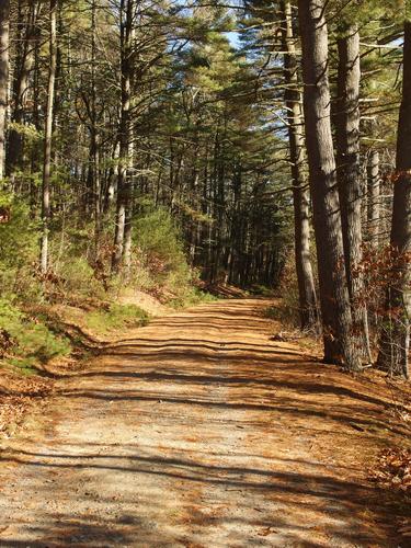 dirt road to a shoreline section of Wachusett Reservoir in northeastern Massachusetts