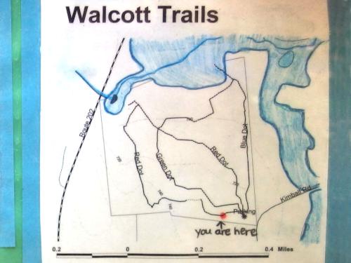 trail map posted on a tree at Walcott Trails in southern New Hampshire