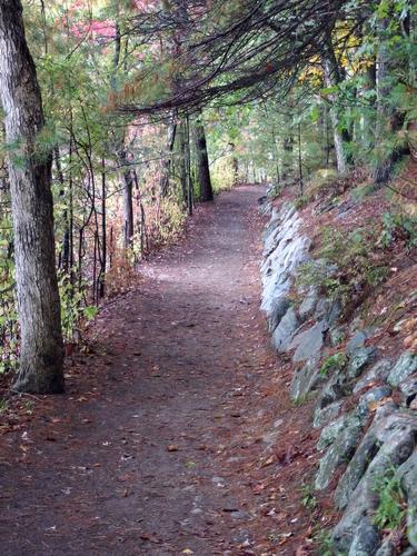a section of the Pond Path going around to Walden Pond State Reservation at Concord in Massachusetts