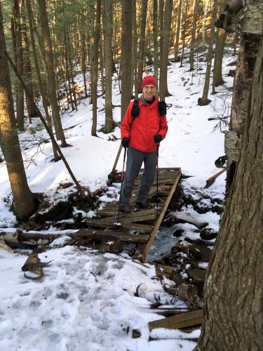 Fred poses in February on an obsolete footbridge at Wales Preserve in southern New Hampshire