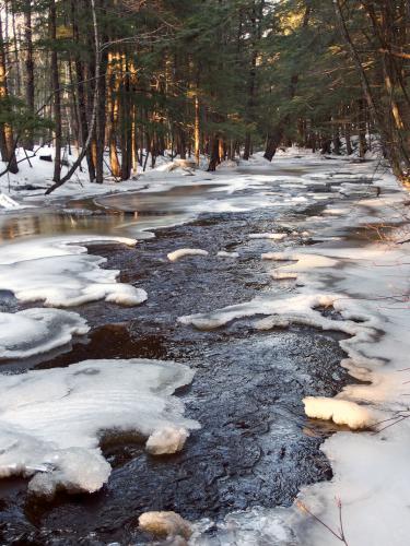 Gridley River in February at Wales Preserve in southern New Hampshire