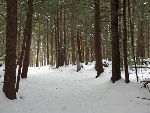 trail to Mount Wallingford near Weare in southern New Hampshire