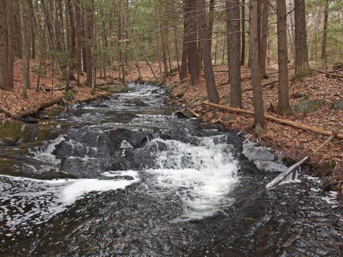 incoming stream in January to Wason Pond near Chester in southern New Hampshire
