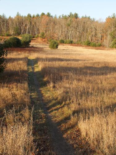 Field Loop Trail in December at Wasserman Conservation Area in southern New Hampshire