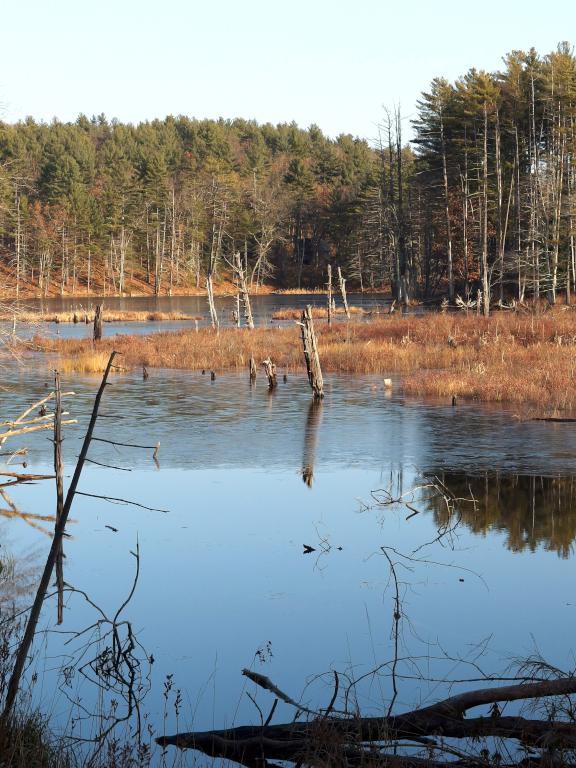 Greens Pond in December at Wasserman Conservation Area in southern New Hampshire