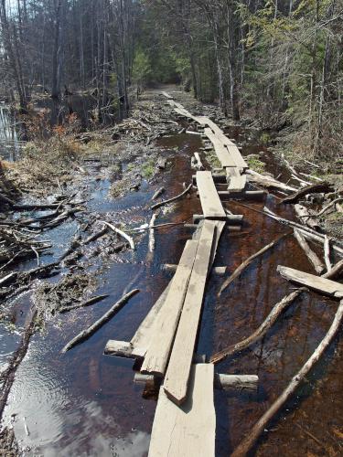 flooded trail in April at Mount Watatic in Massachusetts