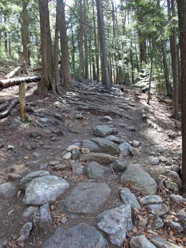 trail in April at Mount Watatic in Massachusetts