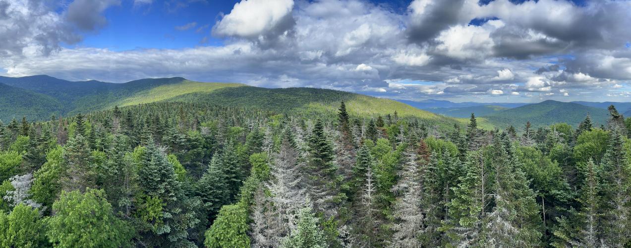 view in June from the tower on Sayer Peak near Mount Waternomee in western New Hampshire