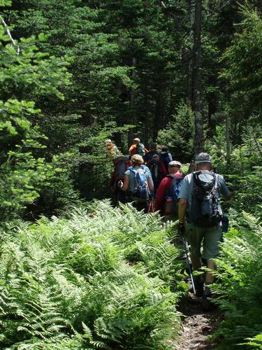 hikers on the trail to Mount Waumbek in New Hampshire