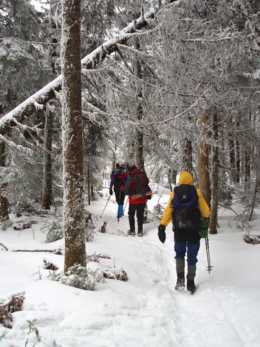 winter hikers on the trail to Mount Waumbek in New Hampshire