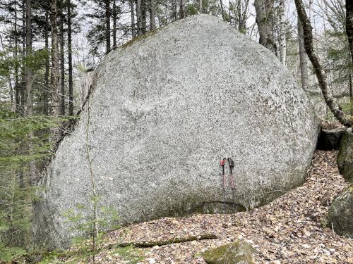 erratic in April at Webb Forest in New Hampshire