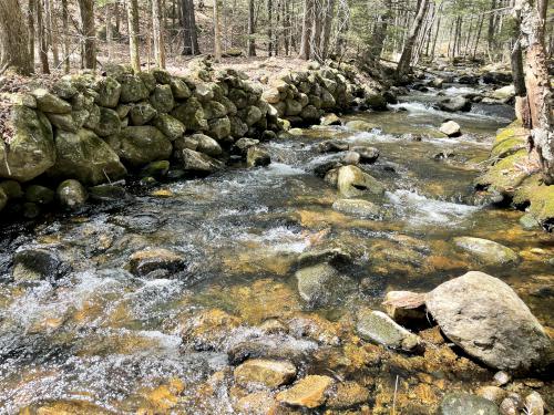 Great River in April at Webb Forest in New Hampshire