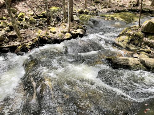 Great River rapids in April at Webb Forest in New Hampshire