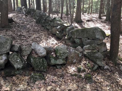stone wall at Weeks Woods near Gilford in southern New Hampshire