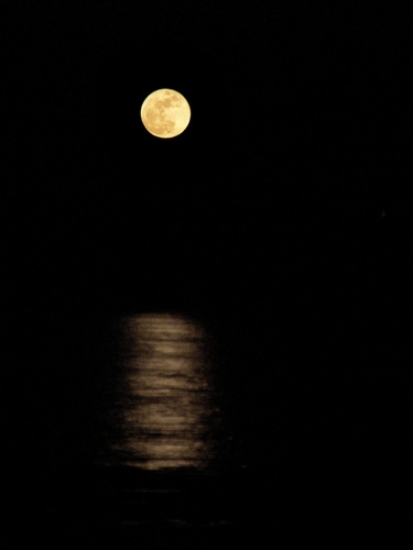 full-moon-rise in February over Lake Cochichewick near Weir Hill in Massachusetts
