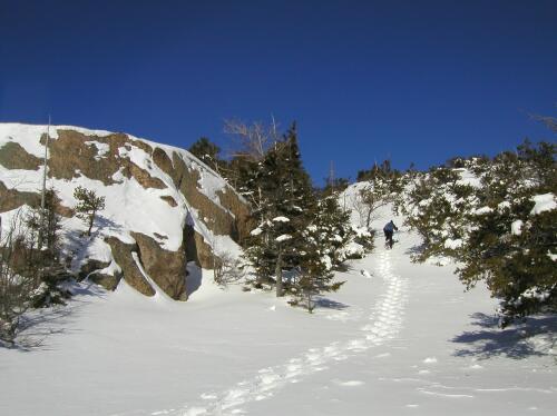 summit trail in winter to Welch Mountain in New Hampshire