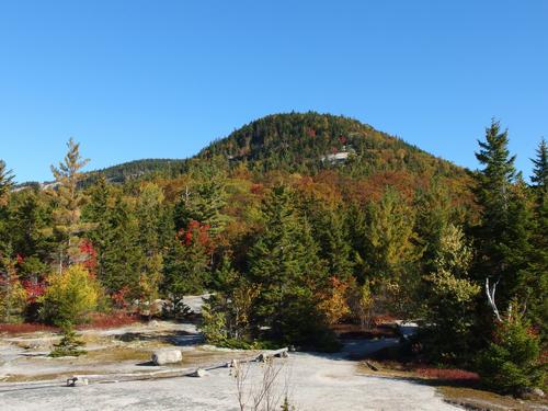 view of Welch Mountain from the Welch-Dickey Loop Trail in New Hampshire
