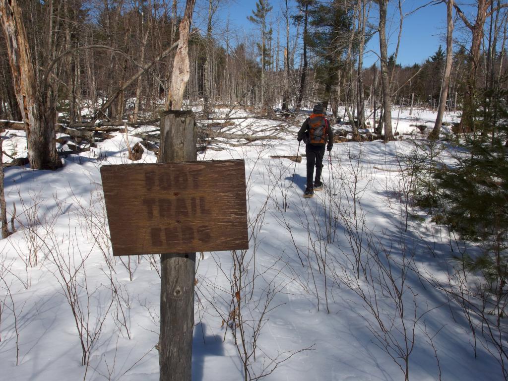 Dick passes by the trail sign at Welch Forest in southern New Hampshire