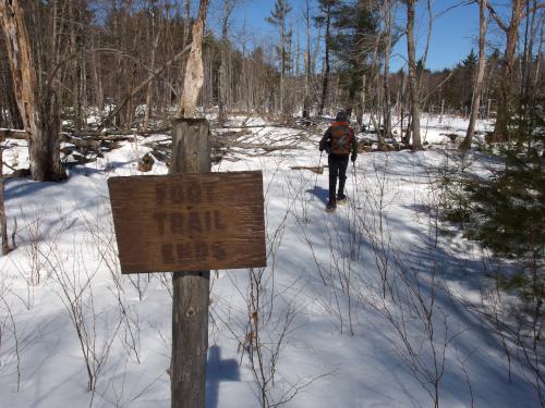Dick passes by the trail sign at Welch Forest in southern New Hampshire