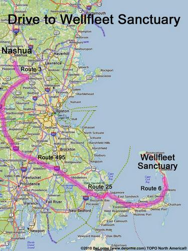 Wellfleet Sanctuary drive route