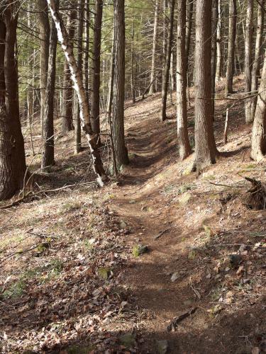 trail at Wellmans Hill in southwestern New Hampshire