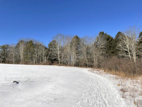 trail in February at Wells Reserve at Laudholm in southern Maine