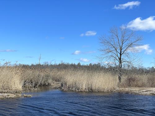 flooded section in February of the north side path at Grand Wenham Canal Path in northeast MA