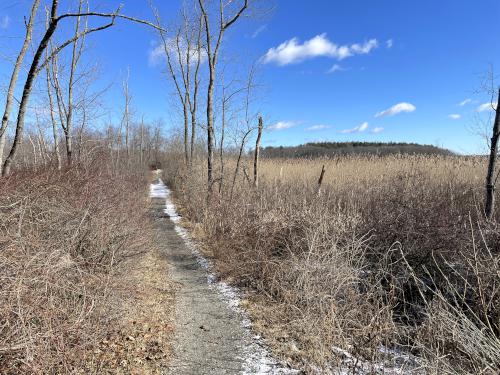 connector trail in February at Grand Wenham Canal Path in northeast MA
