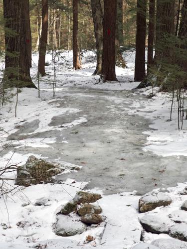 icy trail in March to West Hill at Horatio Colony near Keene in southwestern New Hampshire
