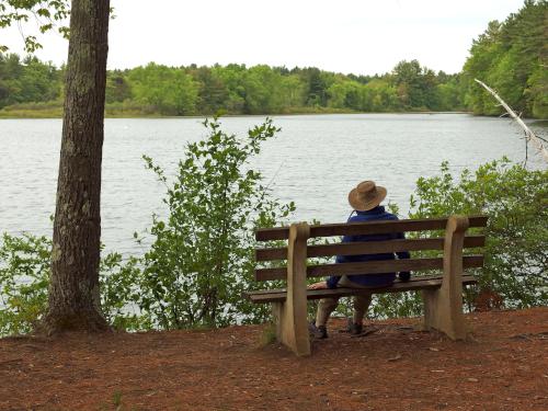 bench at Westside Trail in Pepperell in Massachusetts