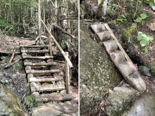 trail ladders in August at White Rock Mountain in northern Vermont