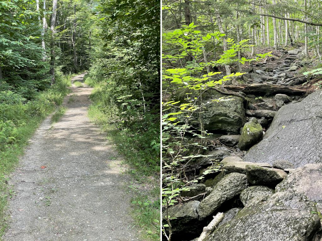 trail in August at White Rock Mountain in northern Vermont