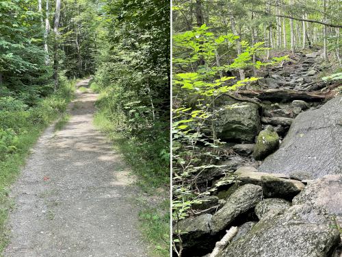 trail in August at White Rock Mountain in northern Vermont