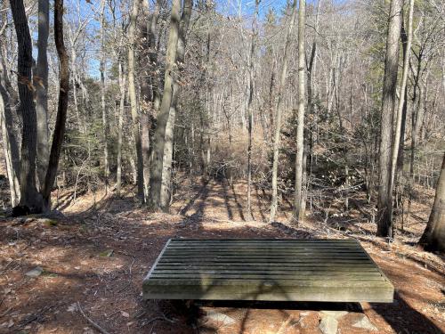 bench in March at Whitney and Thayer Woods in eastern Massachusetts