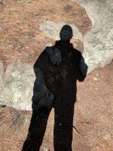 shadow in March at Whitney and Thayer Woods in eastern Massachusetts