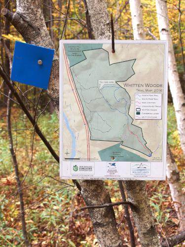 junction trail map at Whitten Woods in New Hampshire