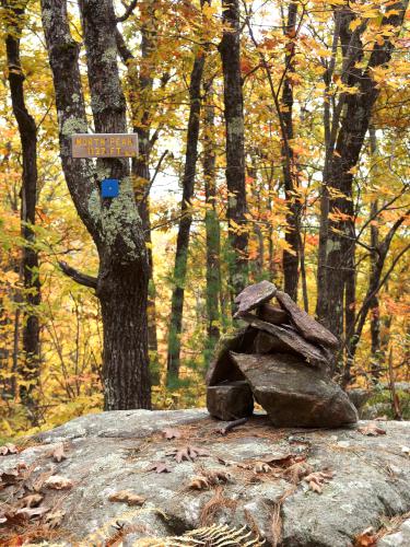 cairn and sign in October atop Whitten Woods North Peak in New Hampshire
