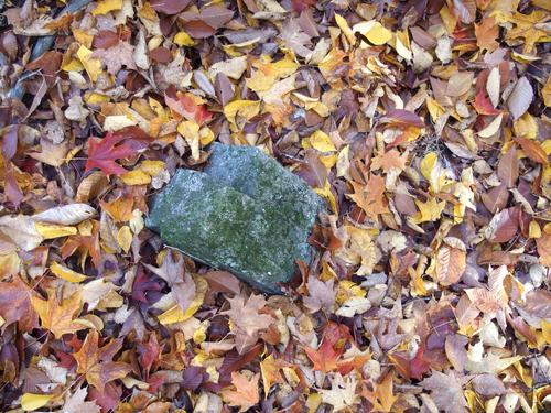 stone and leaf cover on the way to Bald Mountain in New Hampshire