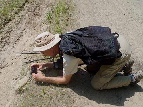 Fred photographing a butterfly wing at Big Wilcox Hill in southwestern New Hampshire