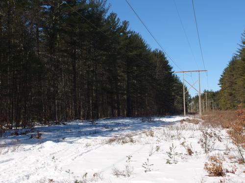 power line swath in March at Wildcat Falls in southern New Hampshire