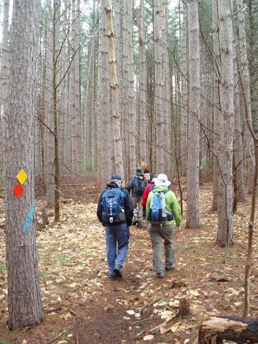 hikers in Willard Brook State Forest in Massachusetts