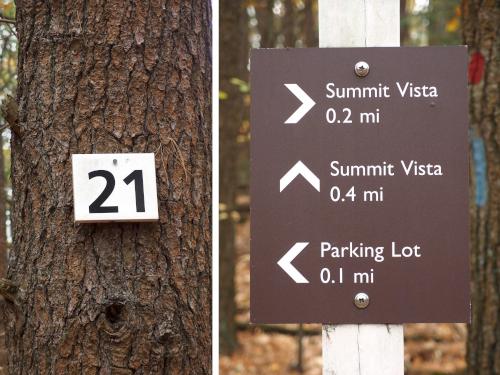 trail junction signage at Wilson Mountain Reservation in eastern Massachusetts