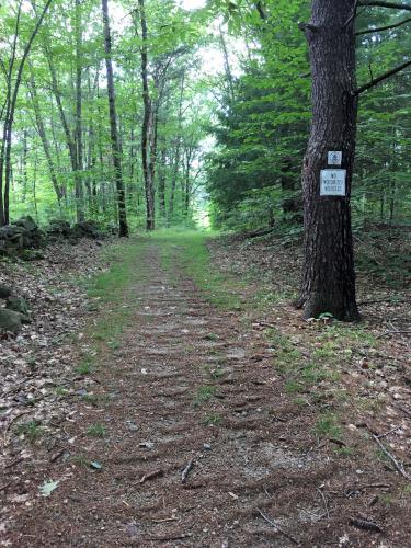 trail at Wilson Hill near Deering in southern New Hampshire