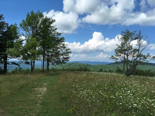 summit view in August at Wilson Hill within High Five Reservation near Deering in southern New Hampshire