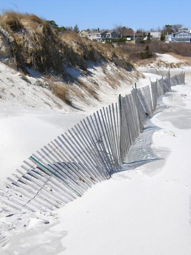 sand fence on Wingaersheek Beach in Massachusetts