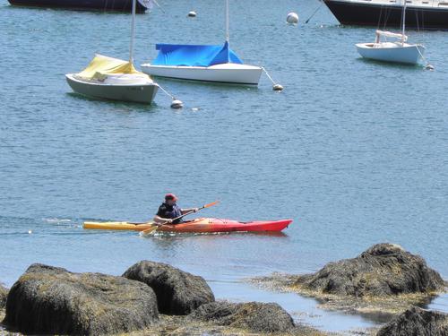 kayaker entering Rockport harbor in Massachusetts