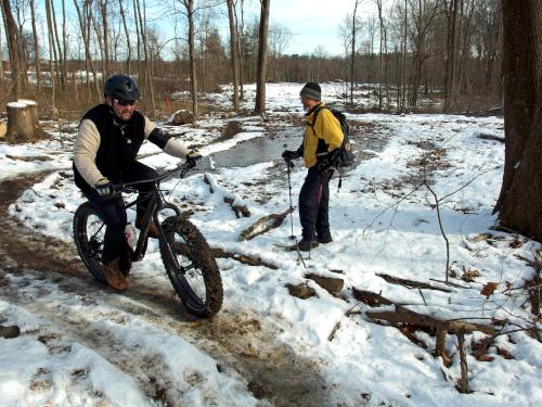 fat-tire biker on the trail at Winnekenni Park in northeastern Massachusetts