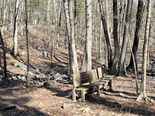 bench in February at Wood Hill in northeast MA