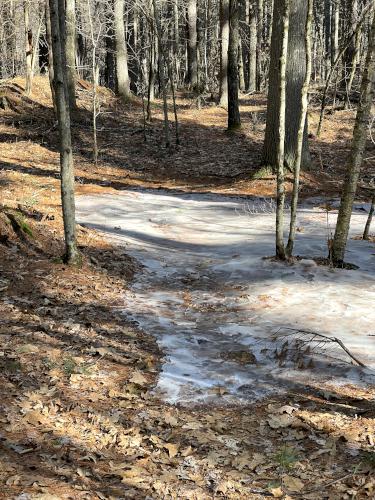 ice in February at Woodchuck Trail in northeast MA