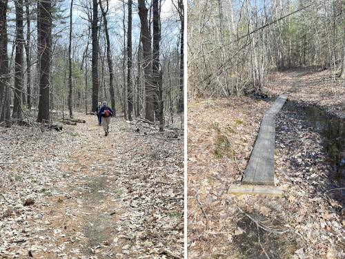 trails in March at Wunnegen Conservation Area in northeast MA
